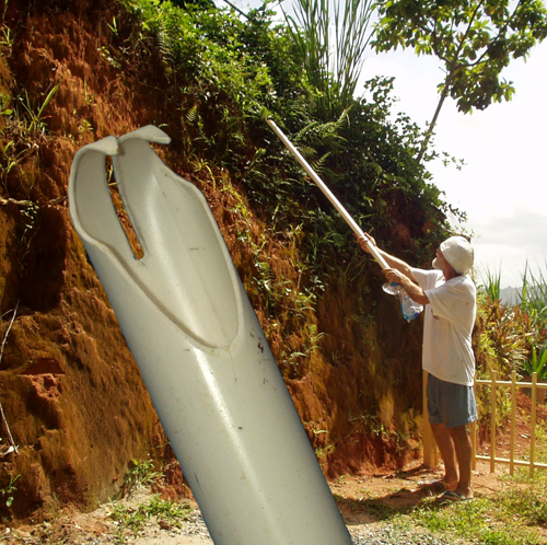 BERRY PICKER