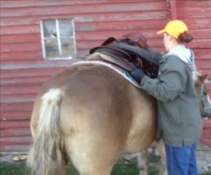 How to Tack Up a Horse. Video: https://www.youtube.com/watch?v=j-fXI9LI6CM&t=1s