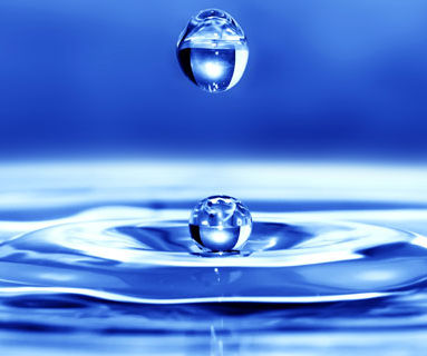 Water Filter