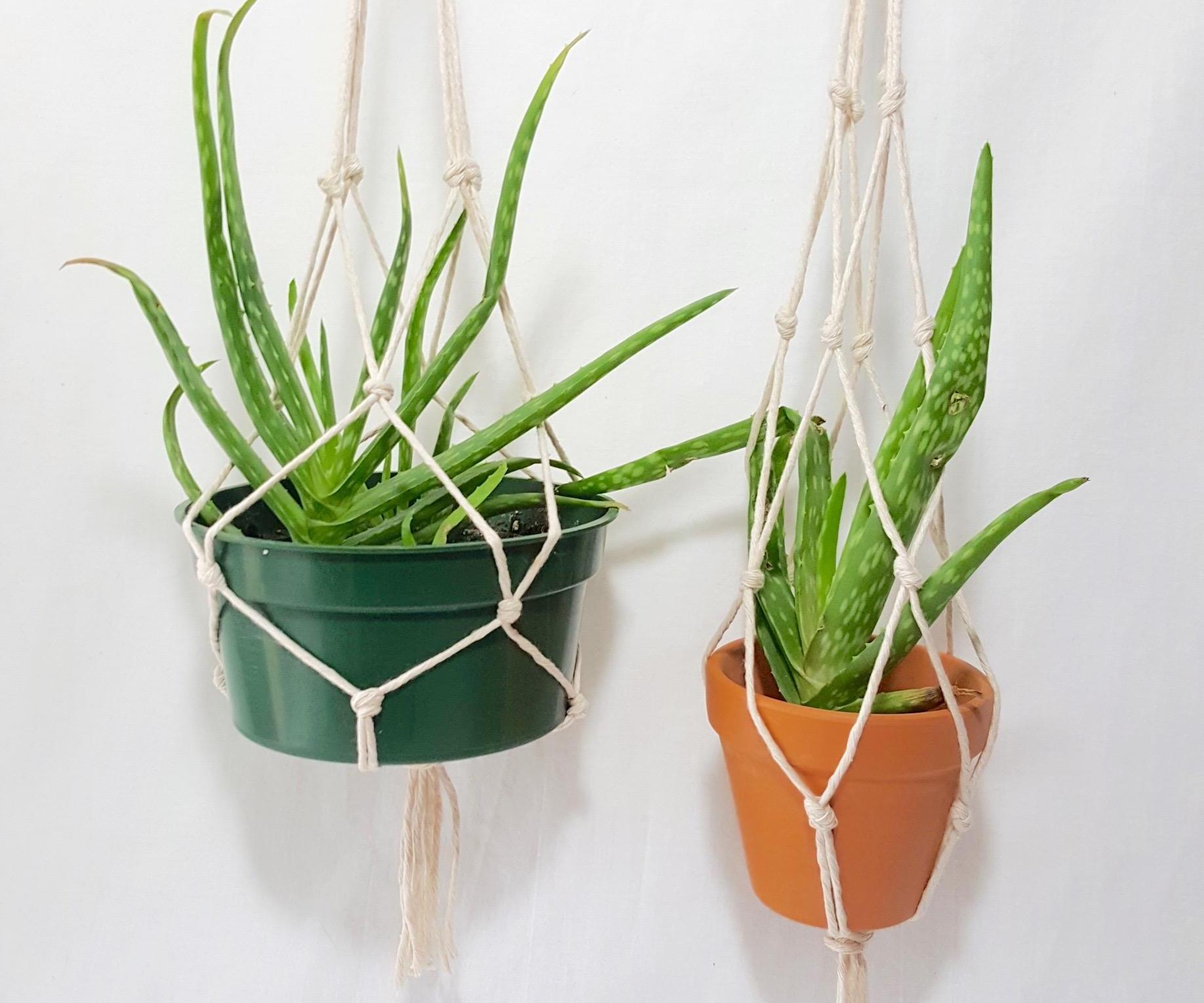 Simple Macrame Plant Hanger