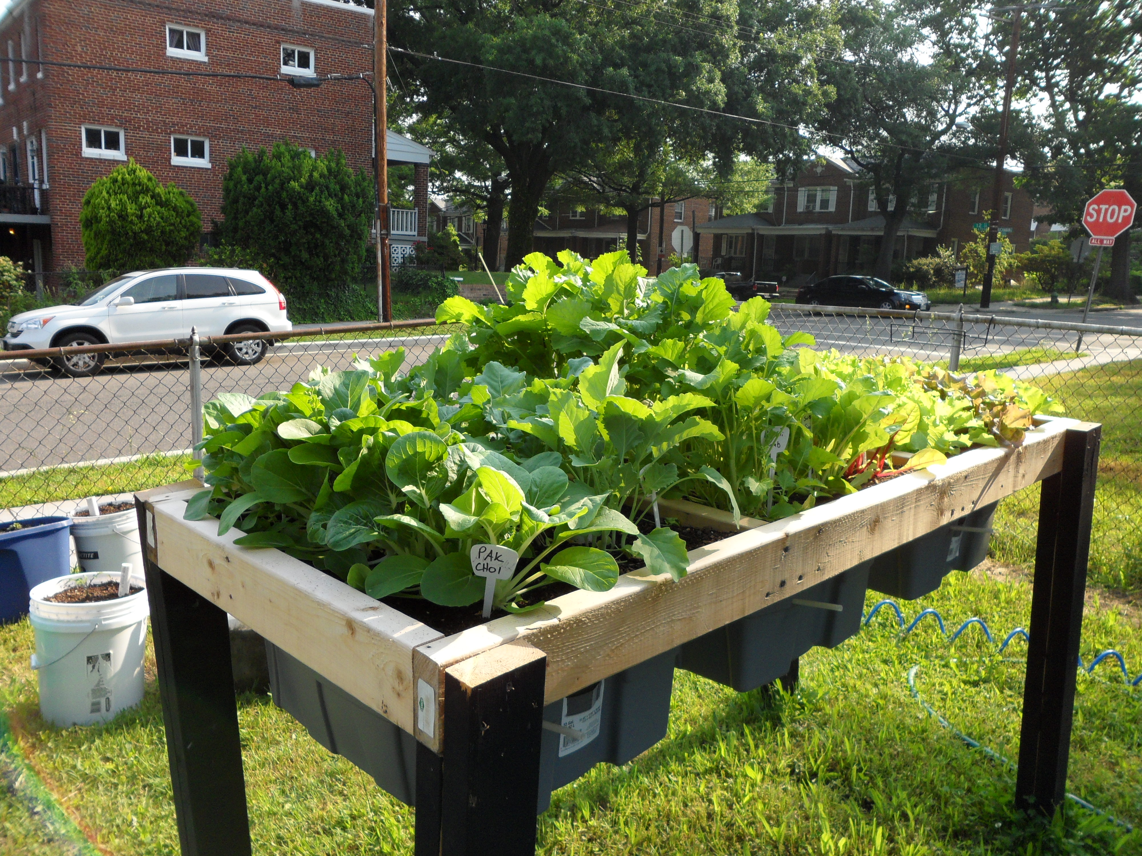 Self-Watering Veggie Table