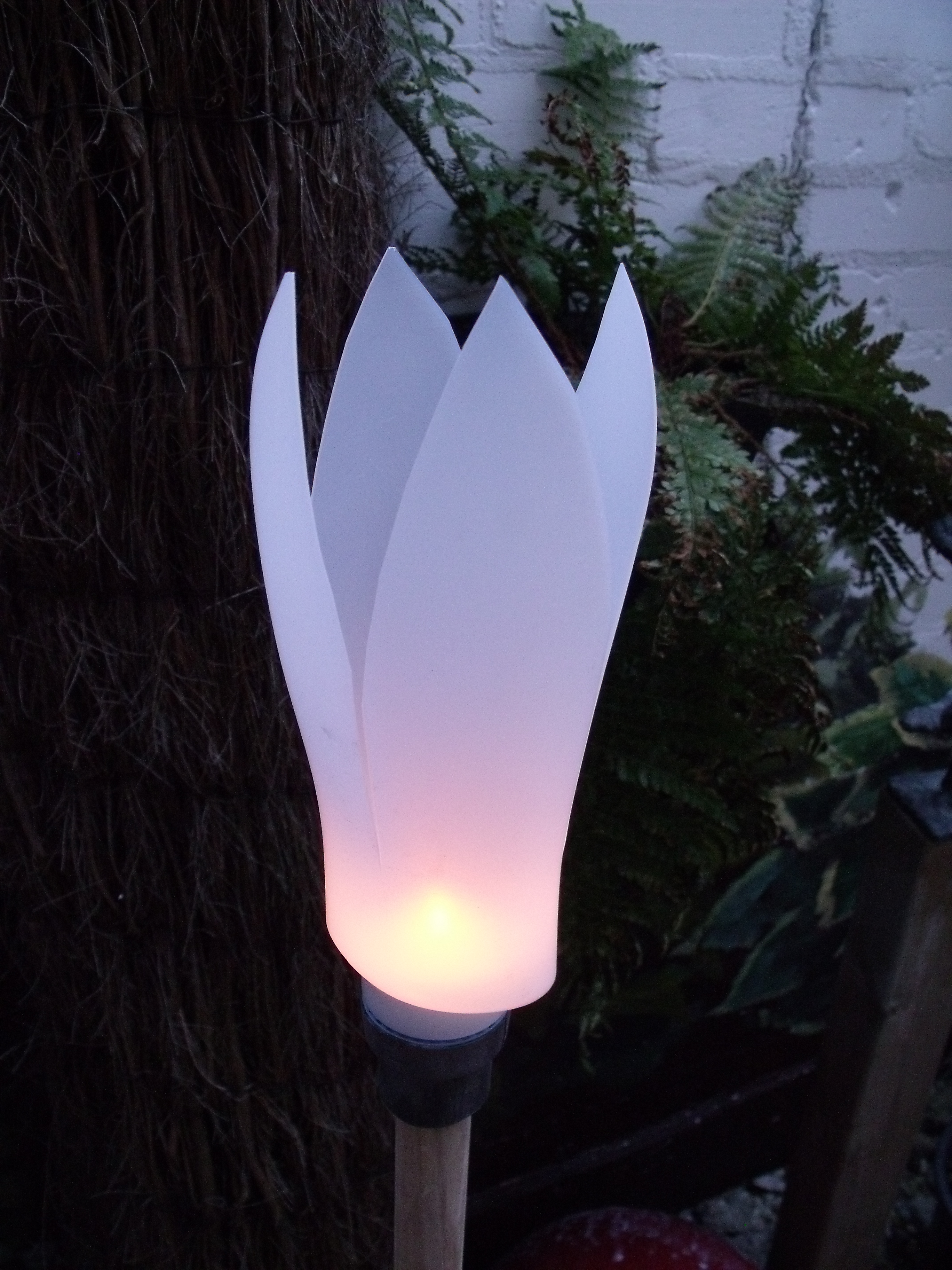 A Garden Light