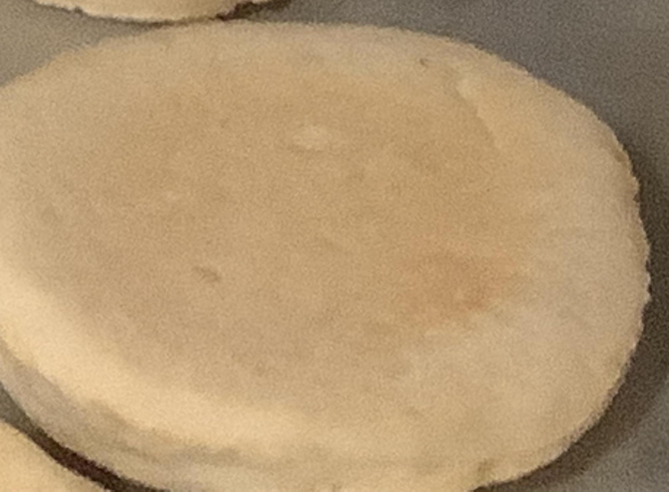 Sourdough Biscuits