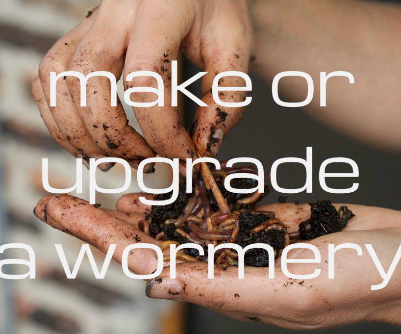 Make or Upgrade a Worm Composter