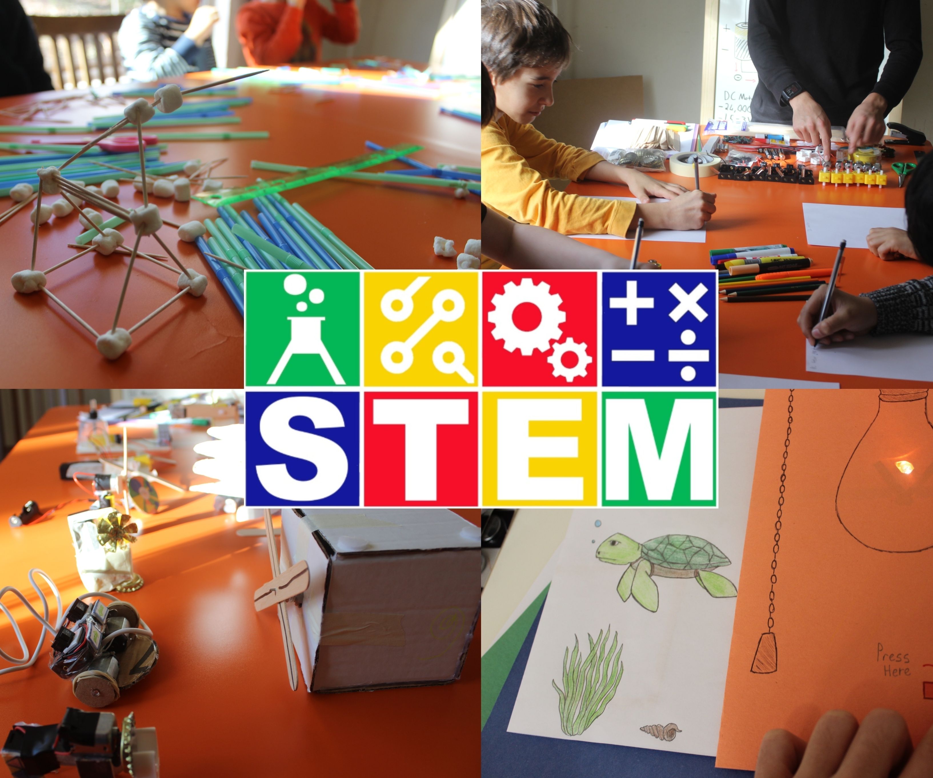 Best STEM Activities for Different Age Groups