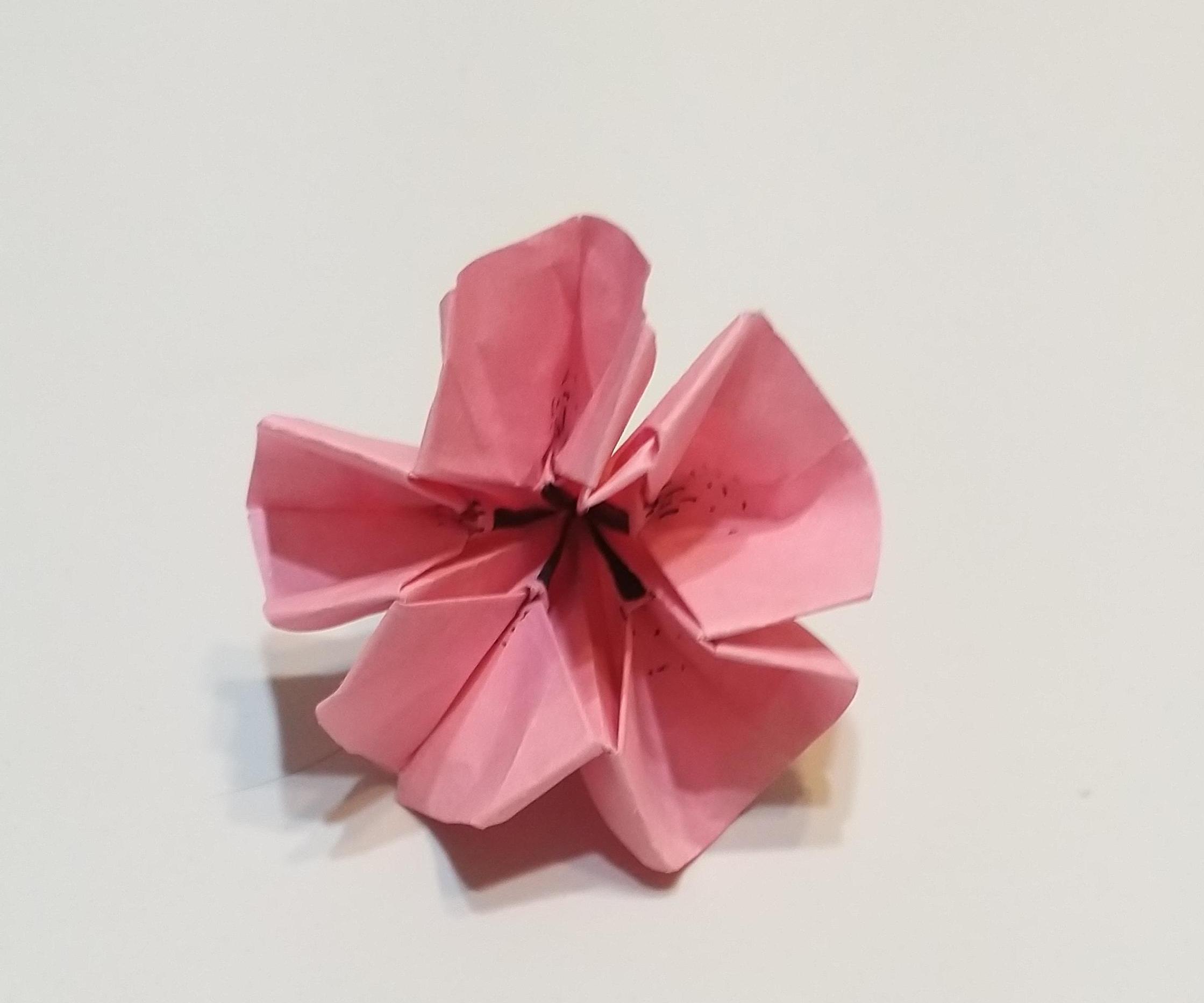 Origami Cute Flower