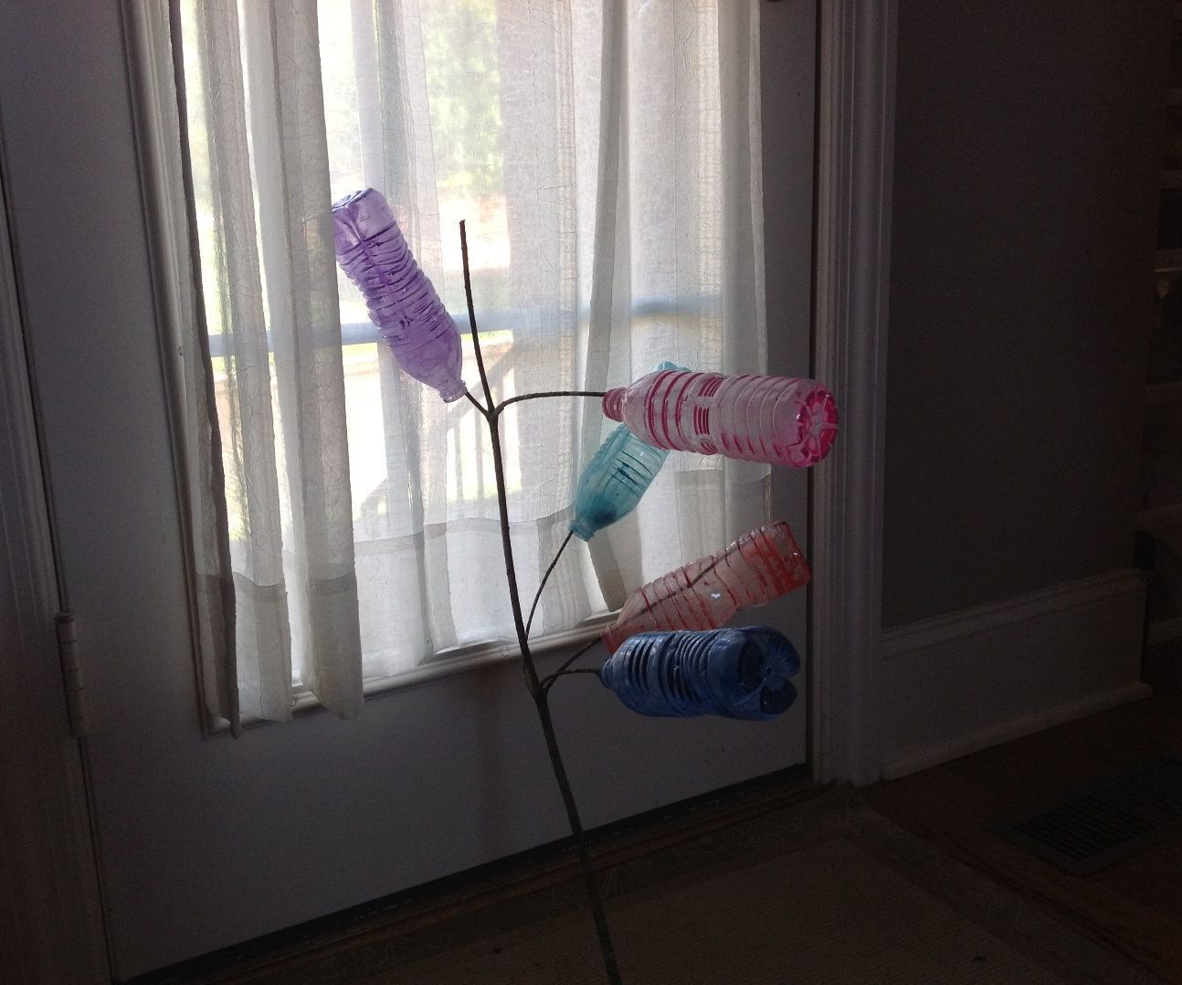 Plastic Bottle Plant