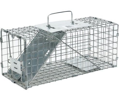 How to set a Live Cage Trap