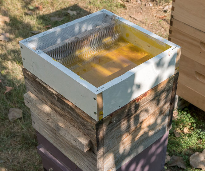 No Drowning, Hive-Top Feeder