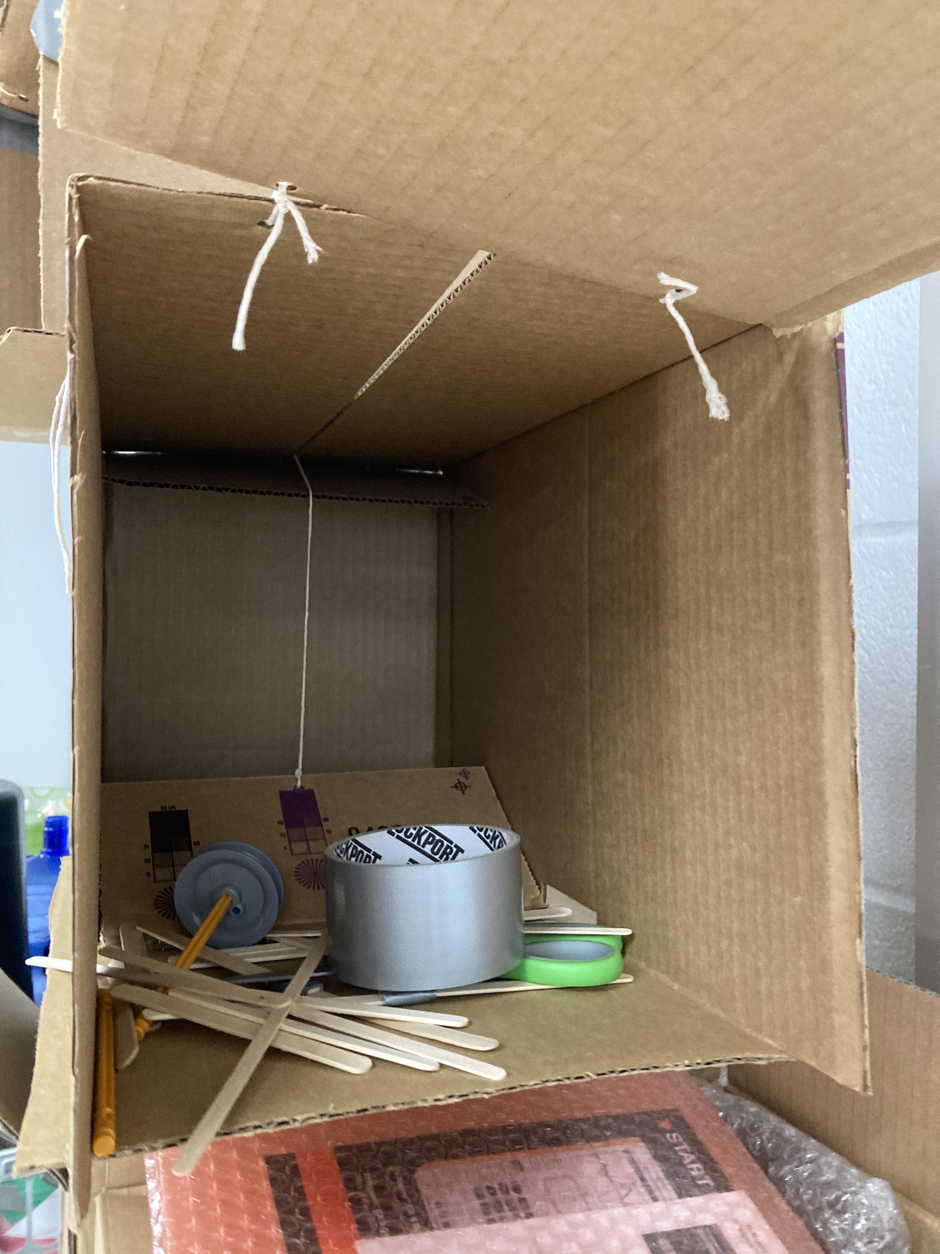 Bunny Trap