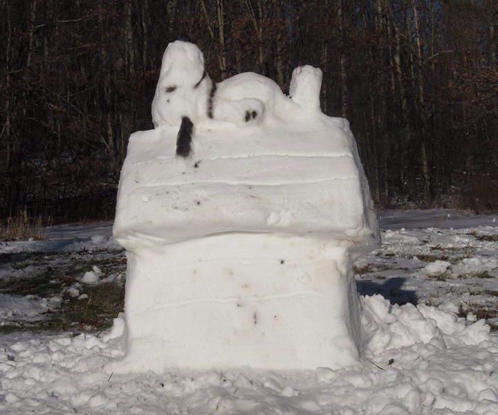 snow creation