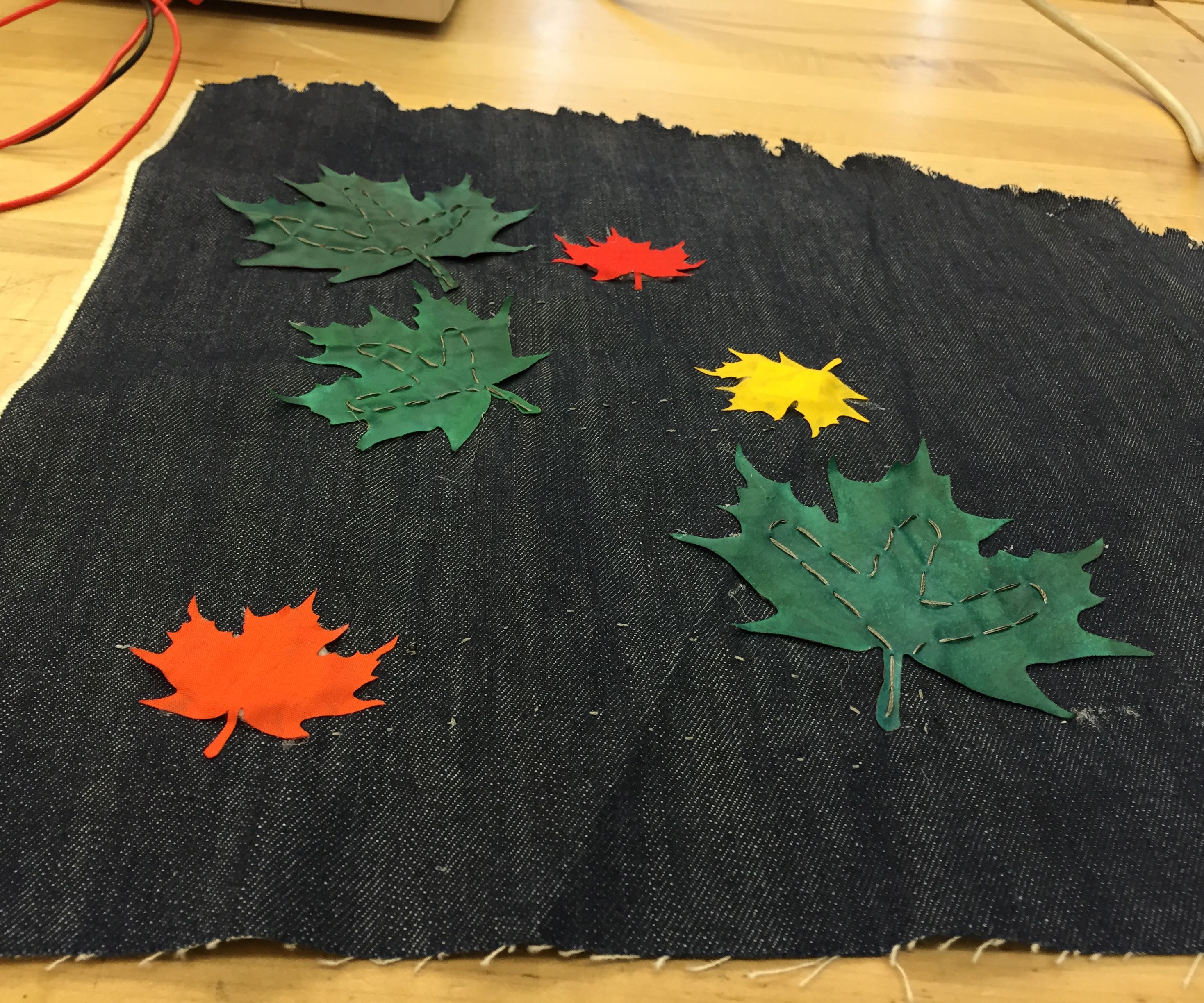Maple Leaves