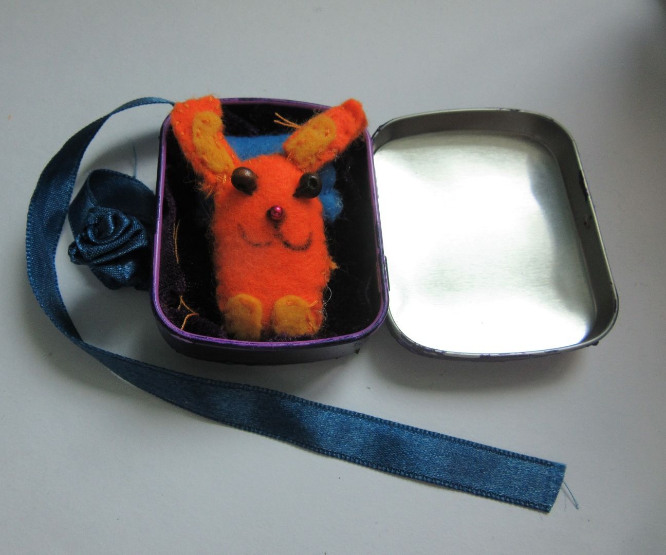 DIY Pet in a Box