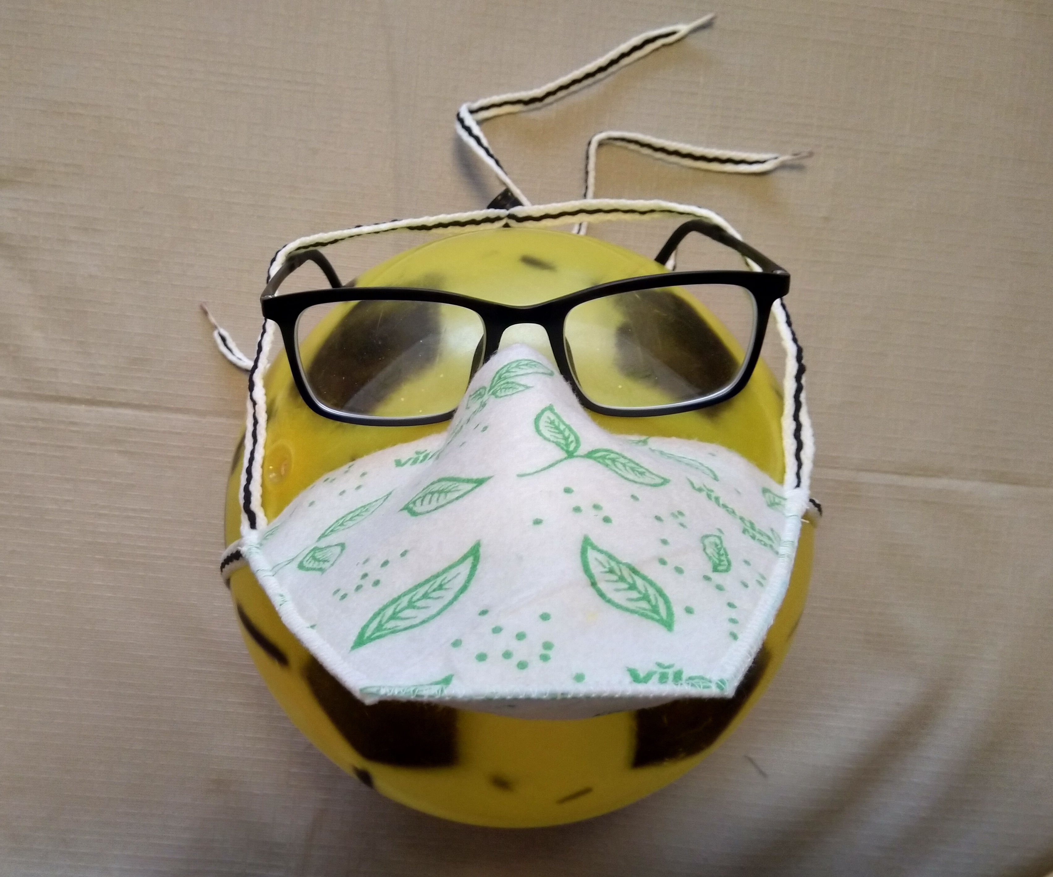 Duckbill Face Mask
