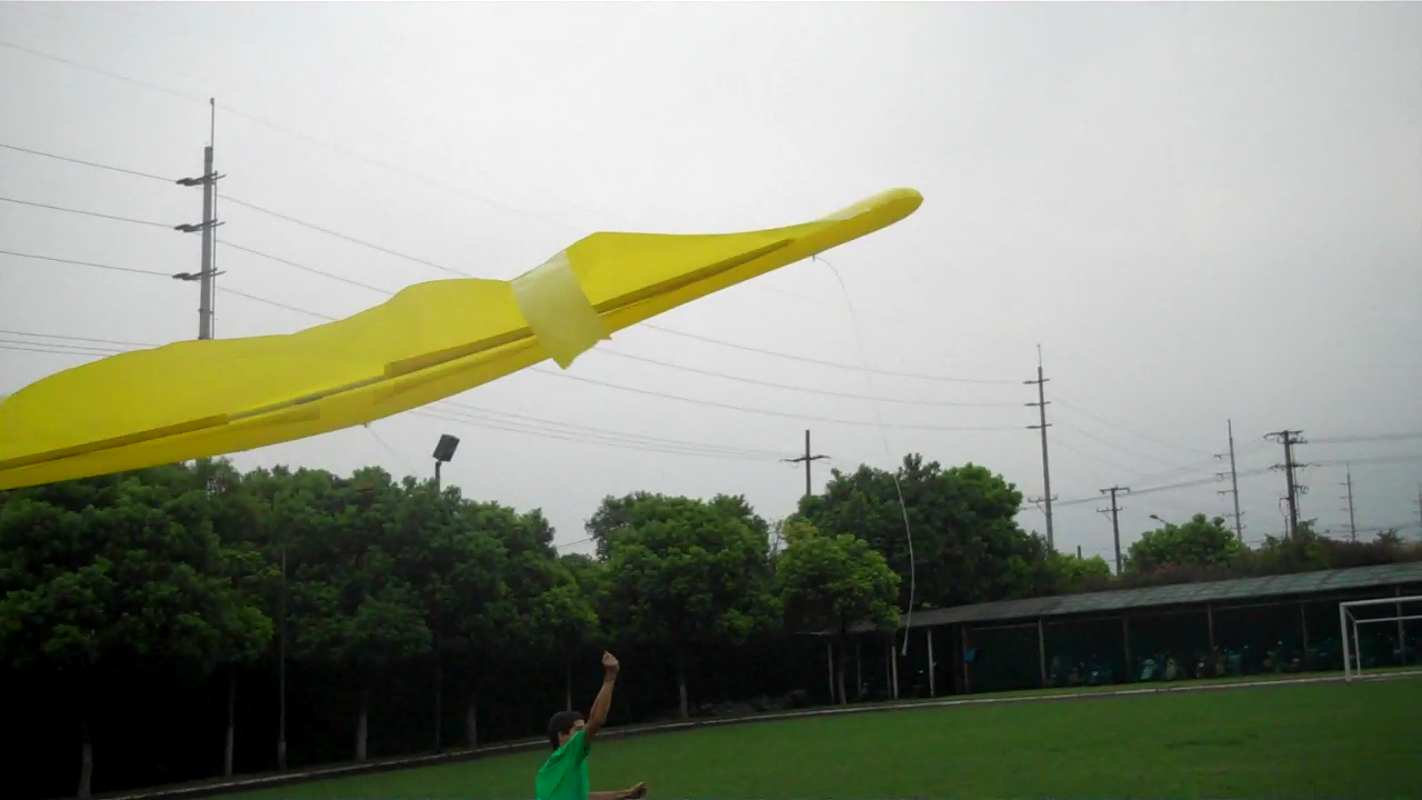 Inflatable Kites