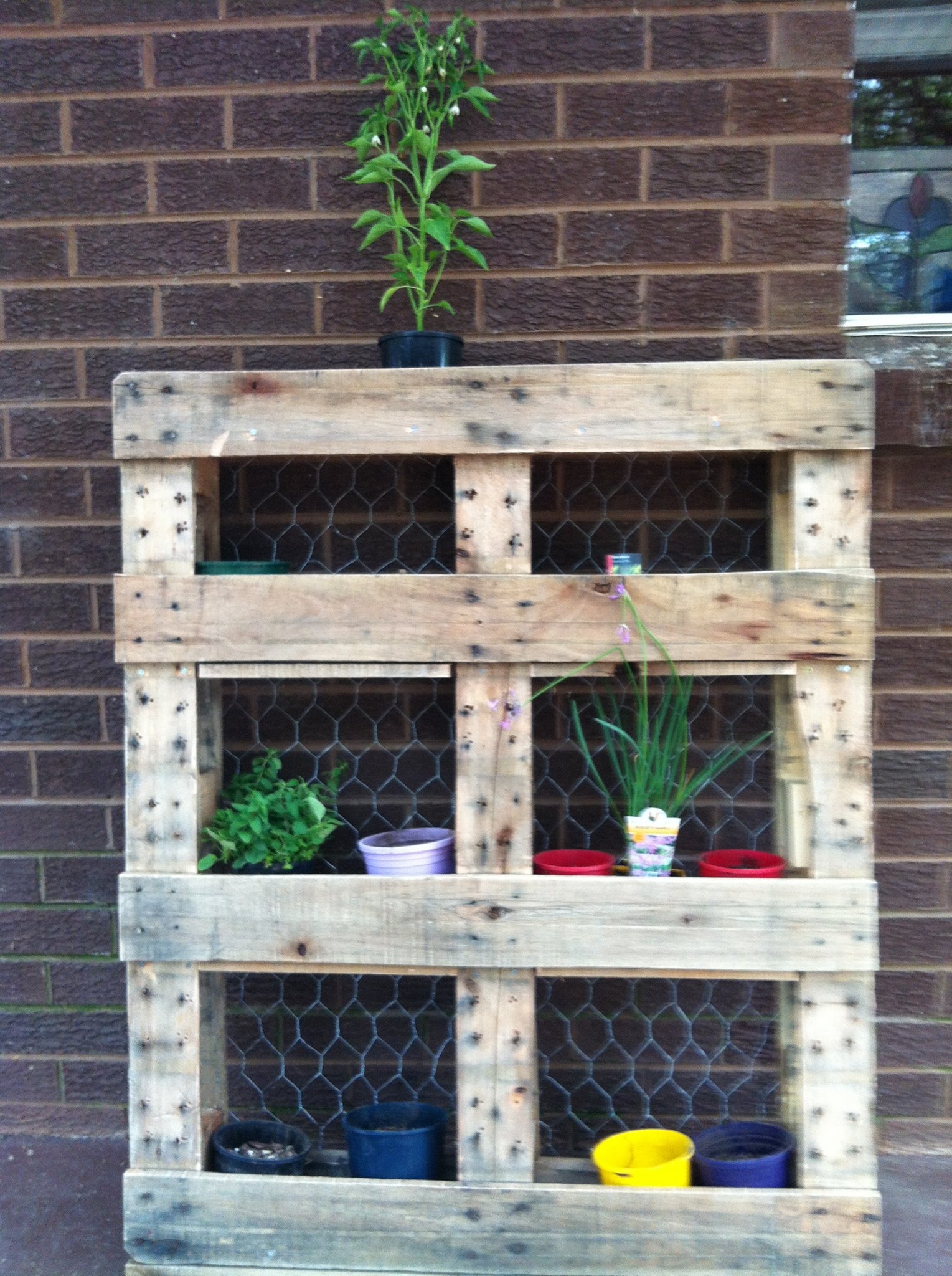 Pallet Recycling: Plant Bookcase