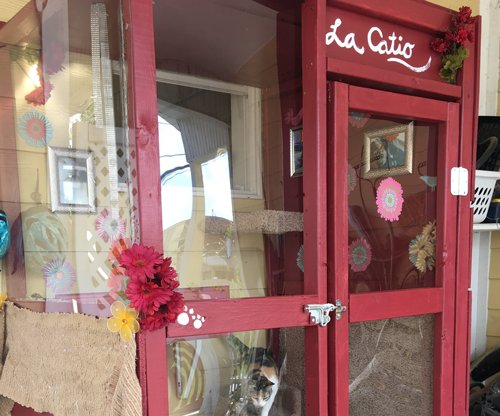 Catio