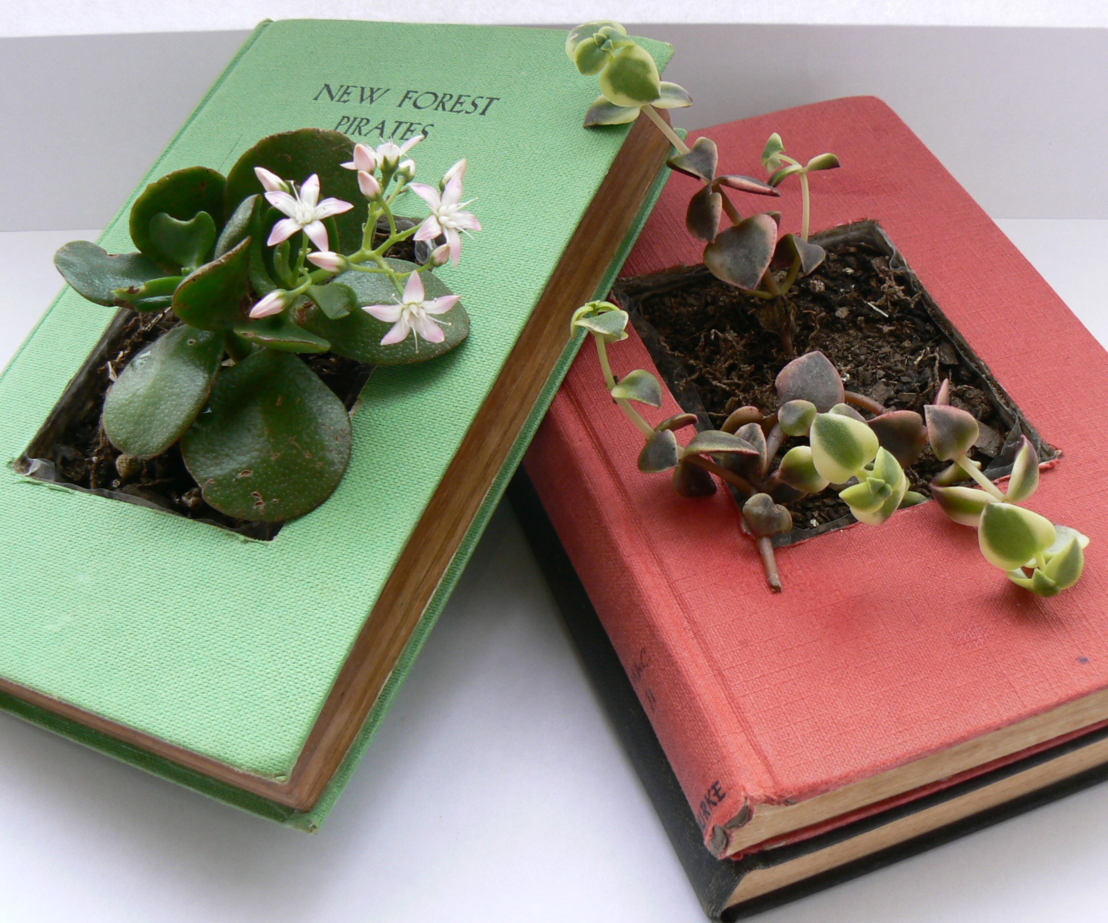 Recycled Book Planters