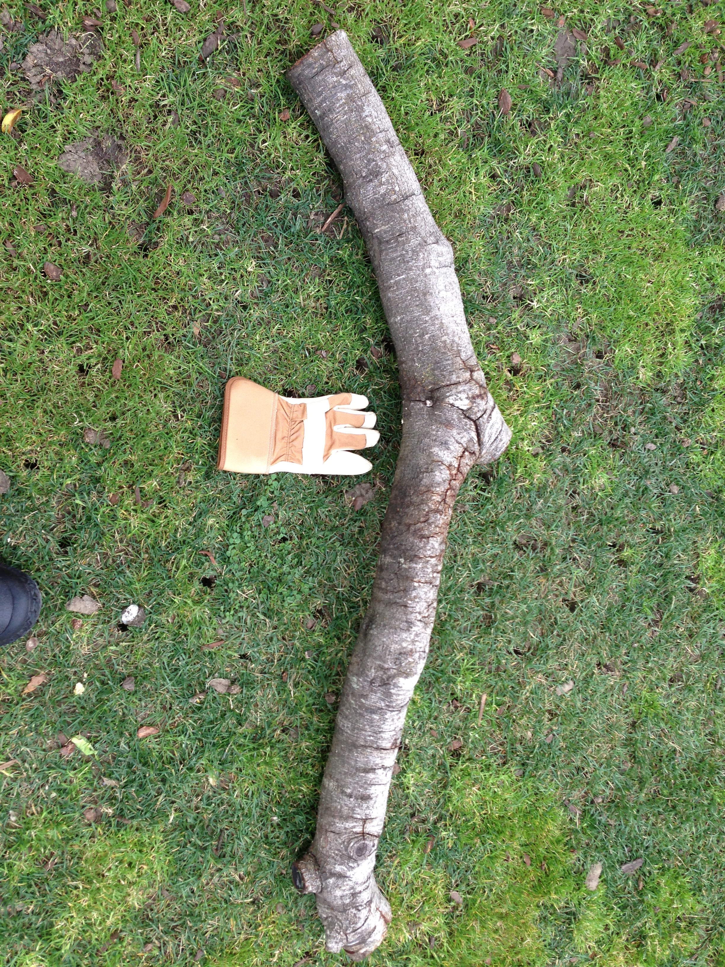 Making a Mushroom Log