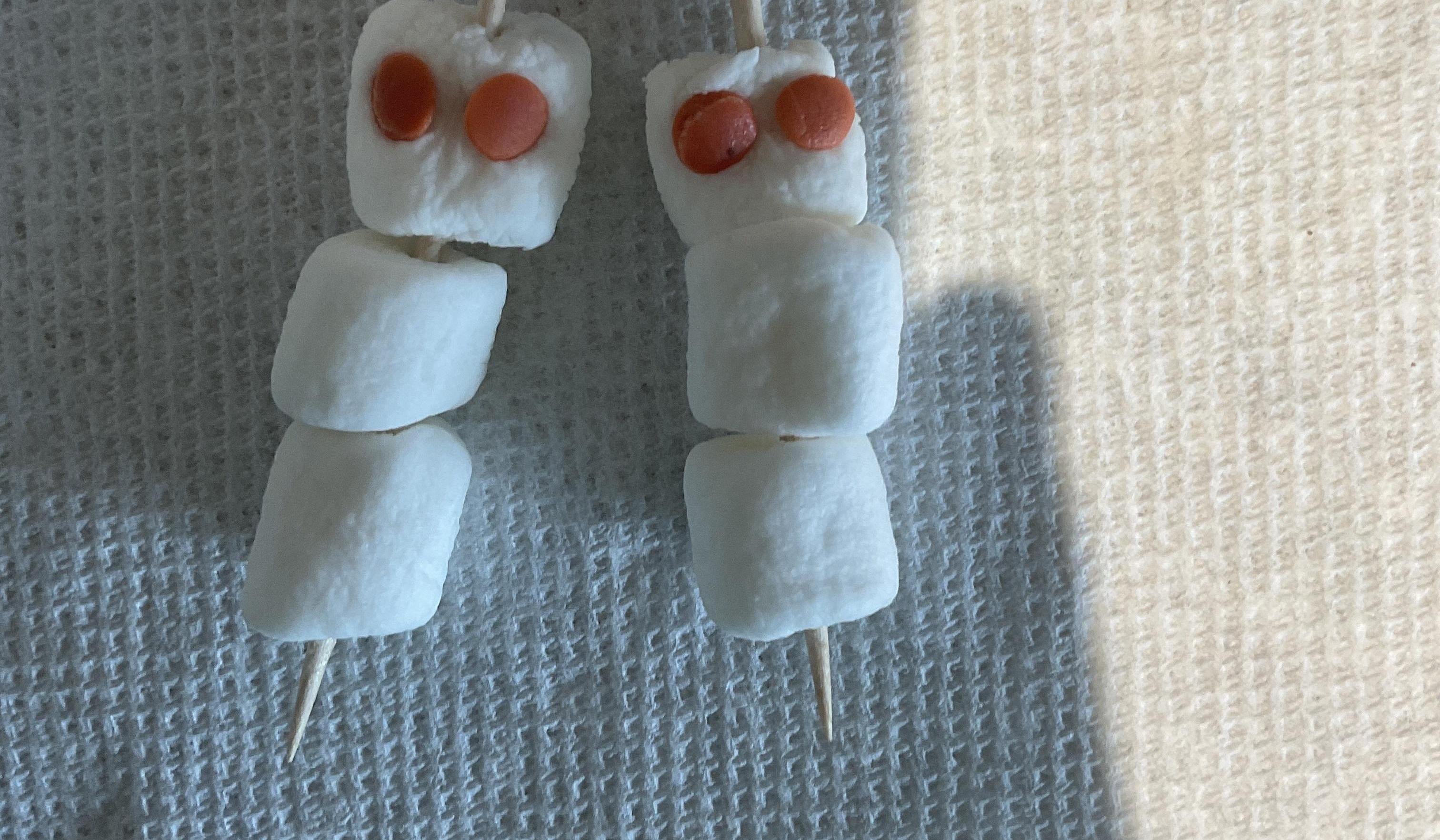 Little Snowman’s