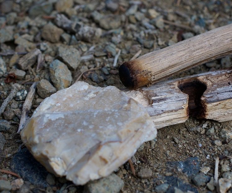 Stone Age Hand Drill Friction Fire With Stuff Gathered on the Spot!