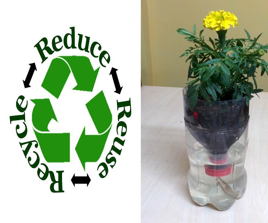 Recycled Bottle Self Watering Hydroponics