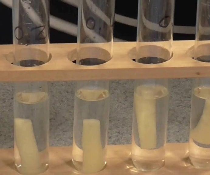 The Osmosis Lab