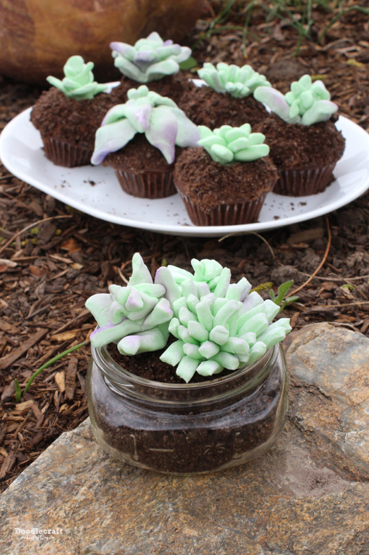 edible terrariums succulents marshmallow fondant cupcake dirt cups cake wedding decor mason jar dessert (17).JPG