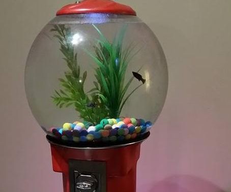 Aquarium Gumball Machine