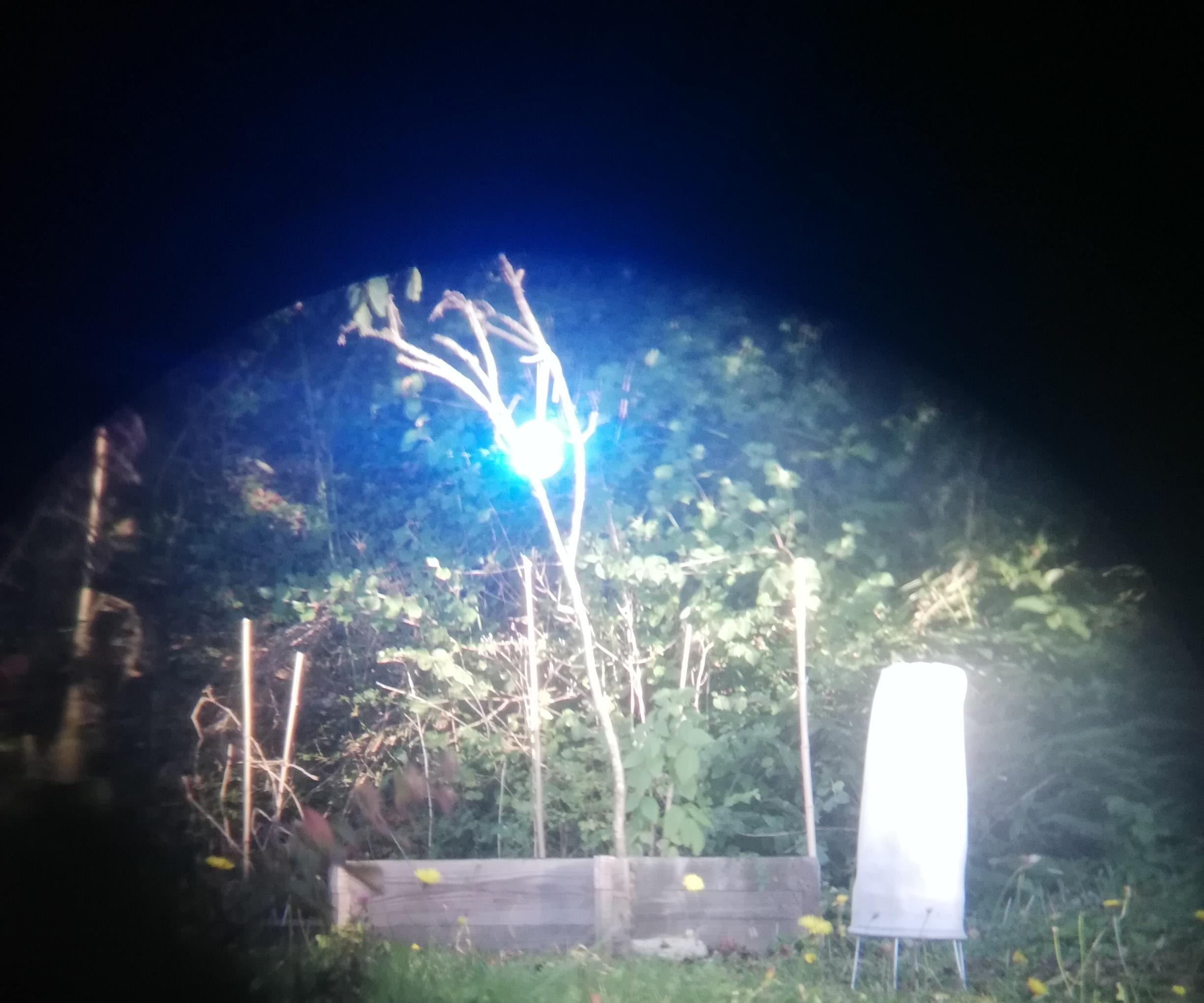 Garden Scarecrow