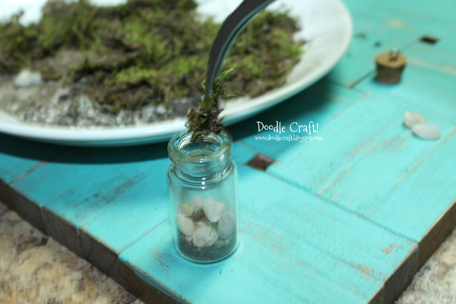 terrarium in a bottle sheet moss pebbles shells lucky charm plant necklace easy diy gift idea (8).JPG