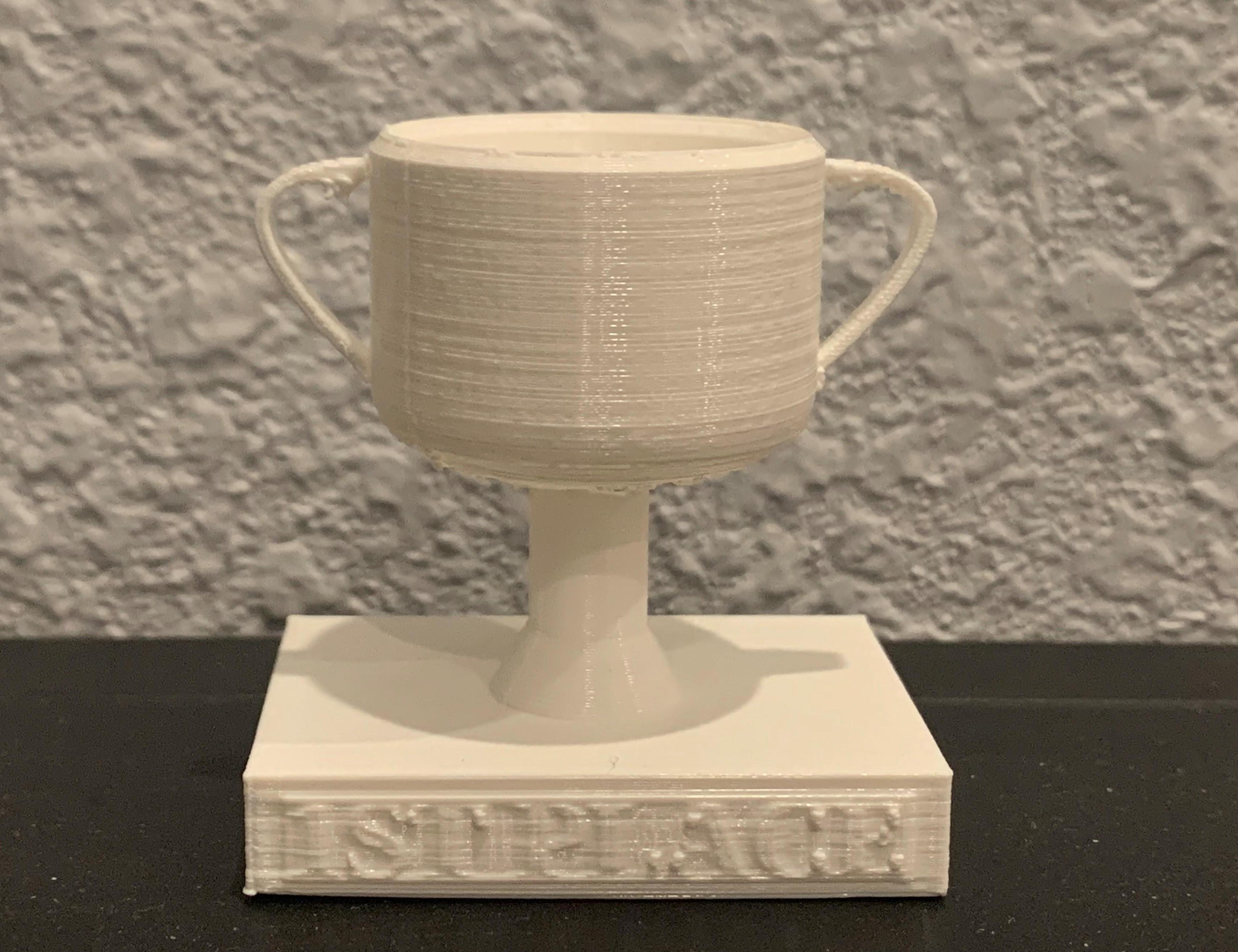3D First Place Trophy