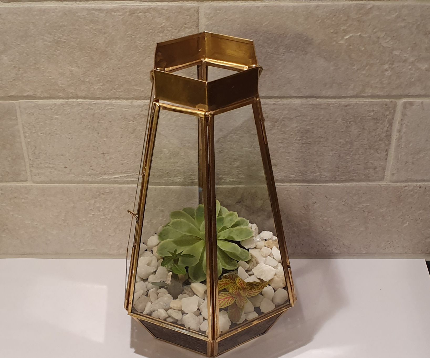 Desk Terrarium 