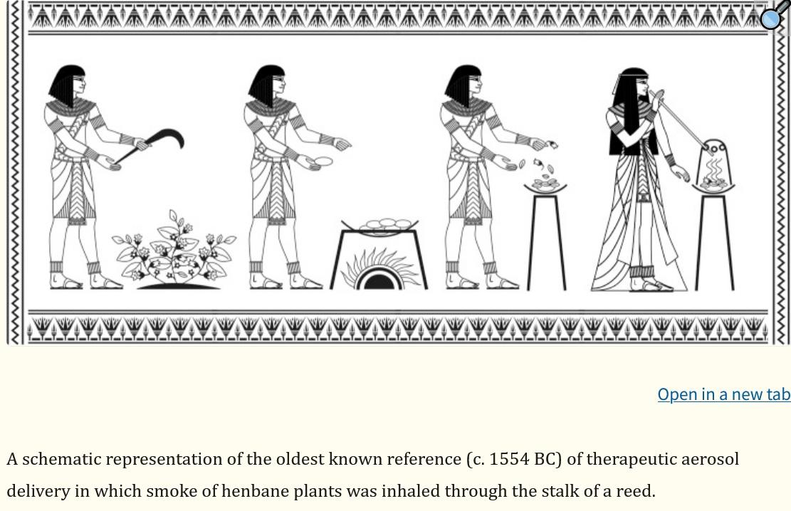 Screenshot 2024-11-26 at 23-32-06 The History of Therapeutic Aerosols A Chronological Review - PMC.jpg