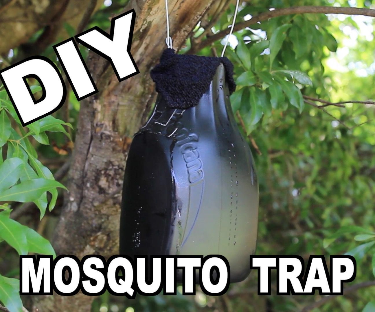 How to Make an Ovitrap Mosquito Trap