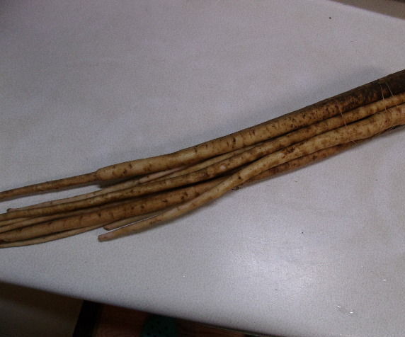The Flavored Burdock Pickles