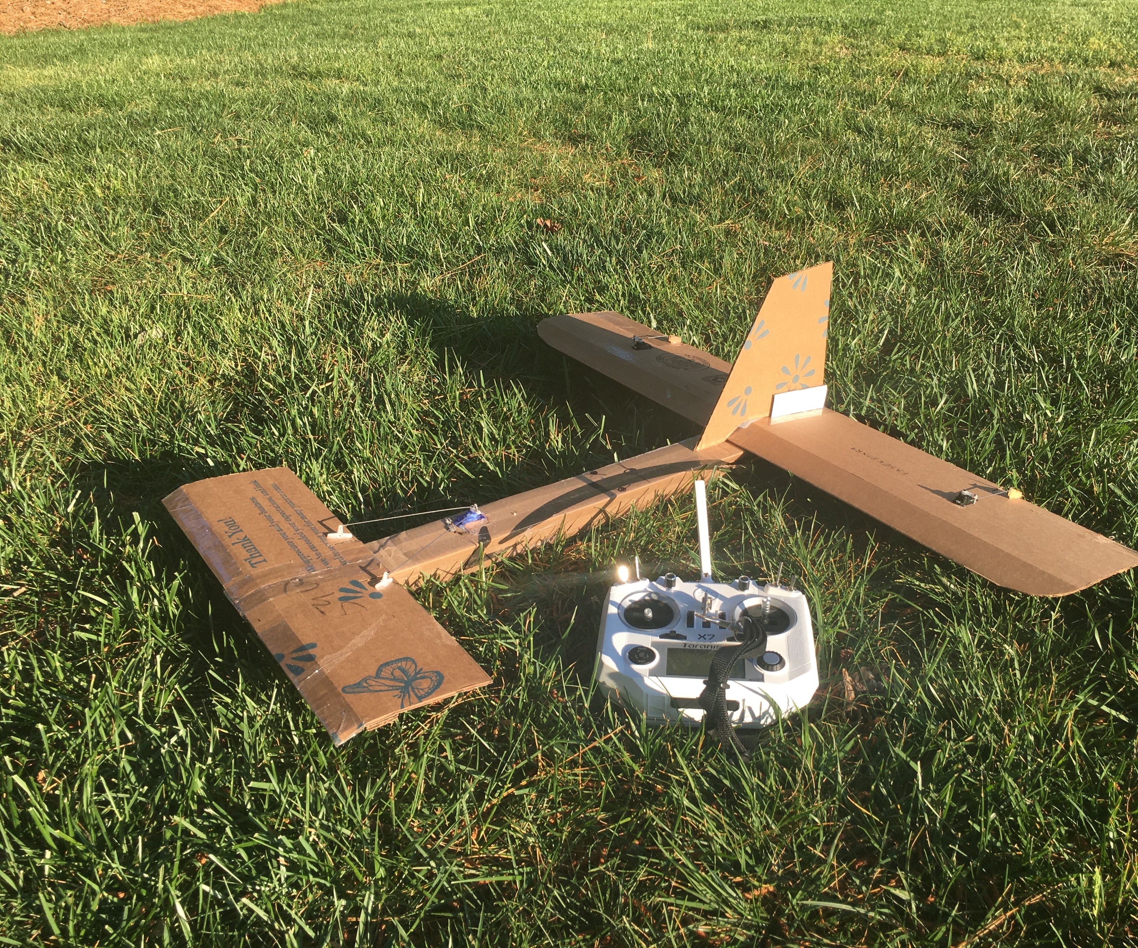 The Cardboard Canard (Canardboard)