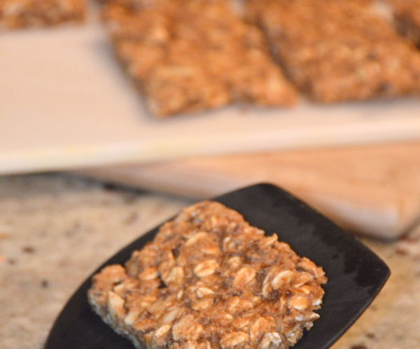 Easy to make Ration/Survival Bars