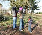 Shooting a compound bow