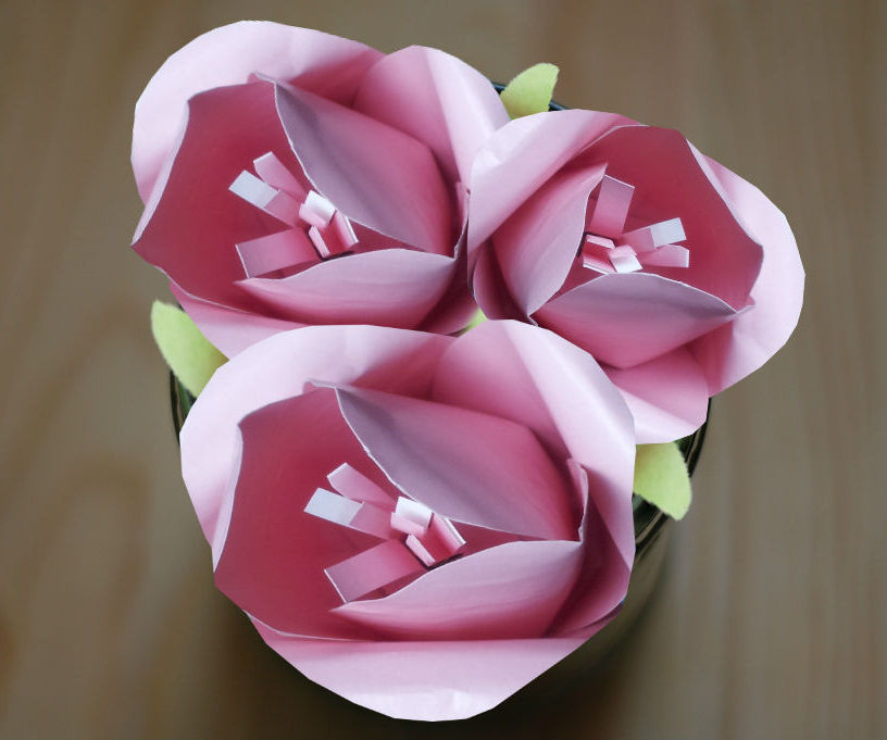 Make Realistic Paper Tulips