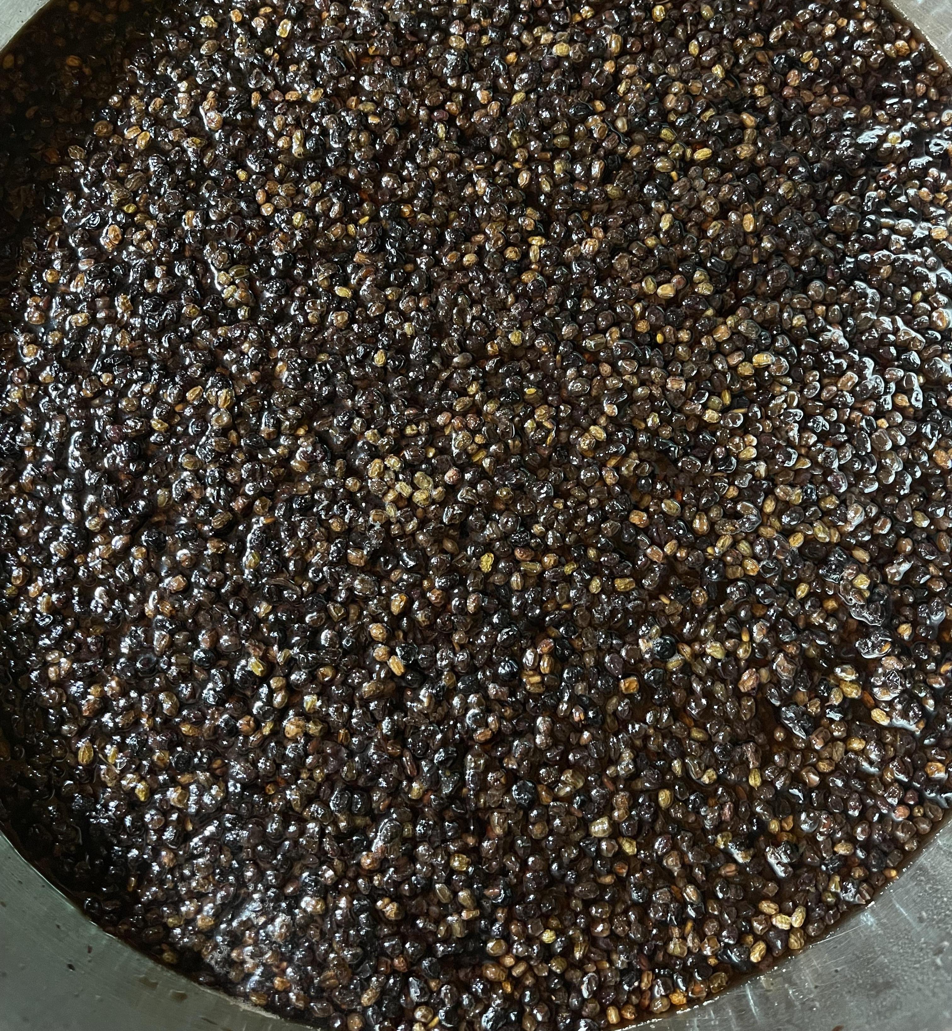 Elderberry Wine