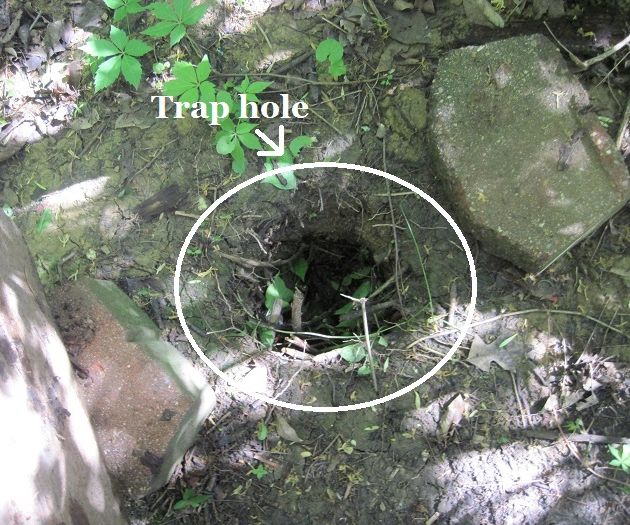 The Foothold Snare