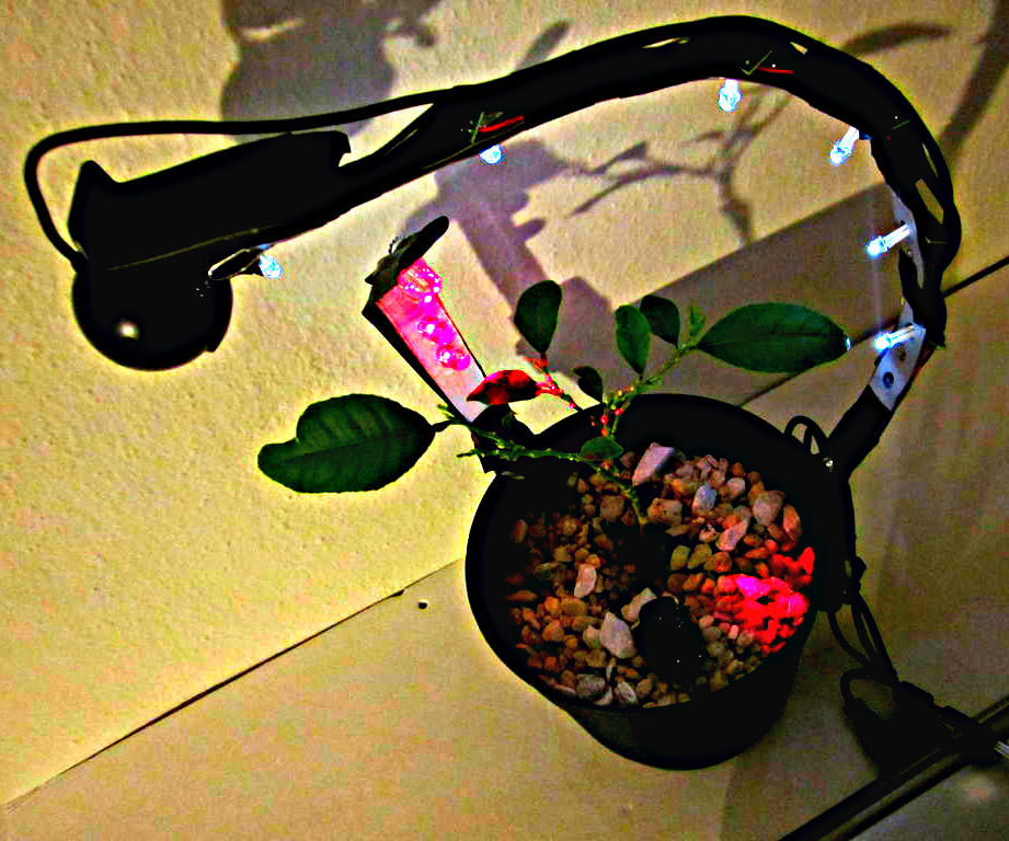 USB powered LED grow light