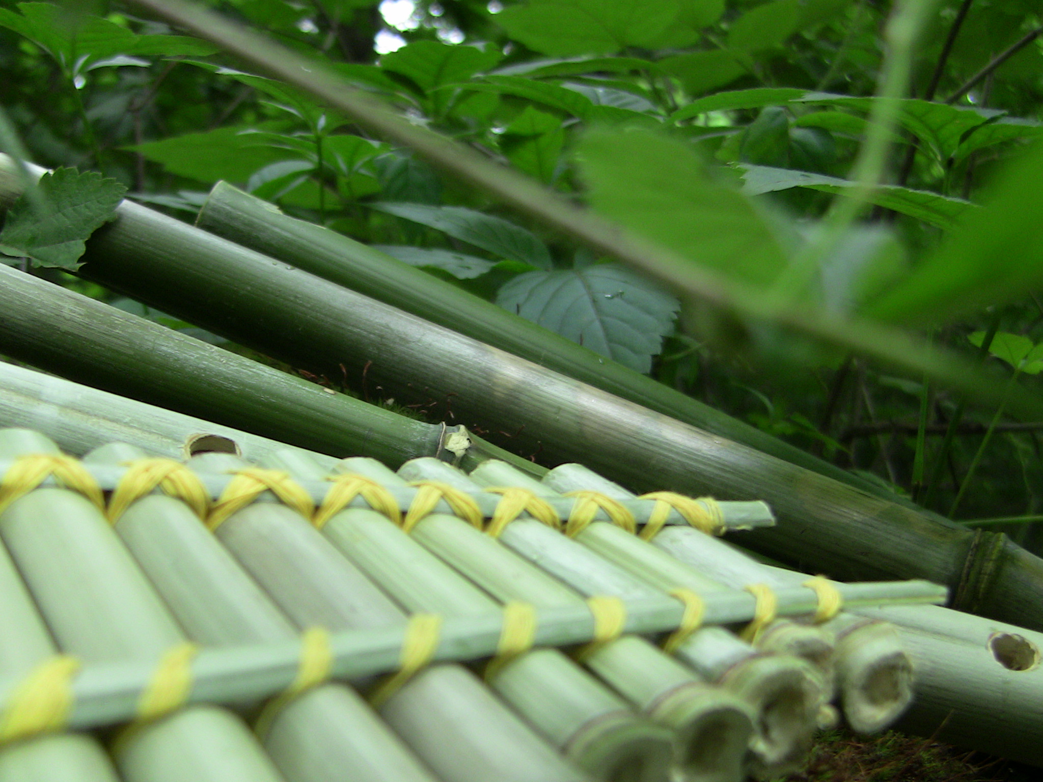 Make 4 Easy Bamboo Flutes for Free!