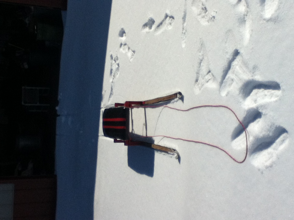 long ski sled