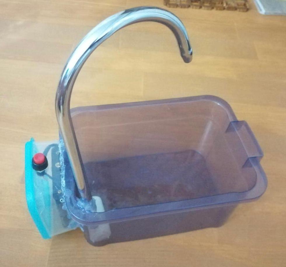 Cat Fountain