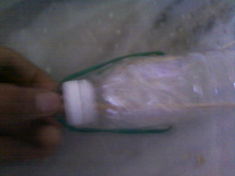 bottle launcher