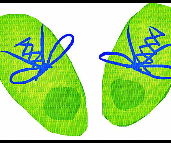 How to Teach Kids to Tie Shoes by Maria Bischel