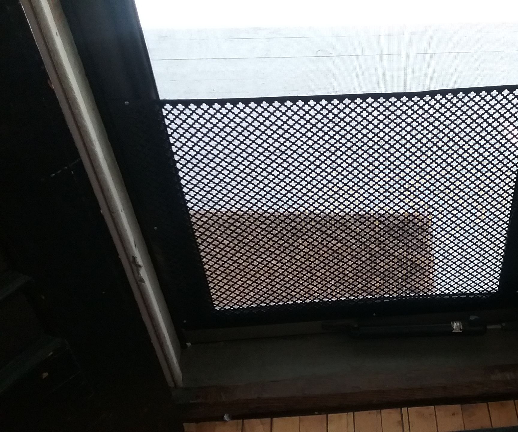 Save Your Screen Door From Your Dog (or Child)