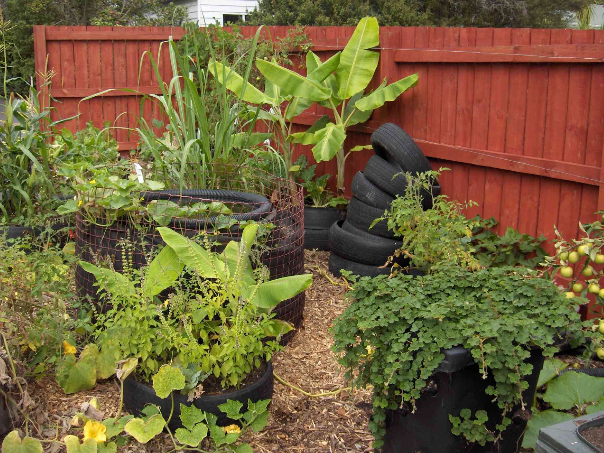 Fish Pond From Tractor (or Car) Tires